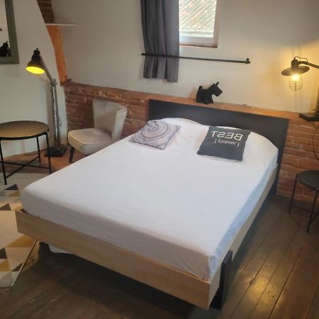 Studio Typique Toulousain Capitole Тулуза Екстериор снимка