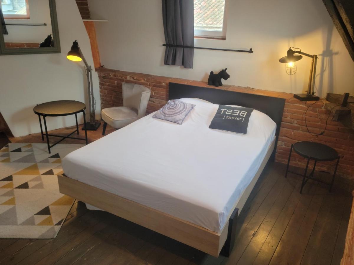 Studio Typique Toulousain Capitole Тулуза Екстериор снимка